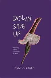 Book cover of DOWN SIDE UP by Trudy A. Brosh