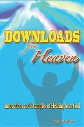 Book cover of Downloads from Heaven by Alison Ryan-Chase
