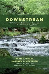 Book cover of downstream by Dorothy Christian