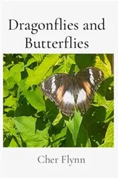 Book cover of Dragonflies and Butterflies by Cher Flynn