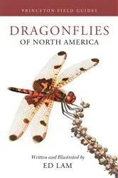Book cover of Dragonflies of North America by Ed Lam