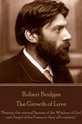 Book cover of Dramatic Values by C. E. Montague