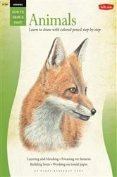 Book cover of Drawing Animals by Lucy Swinburne