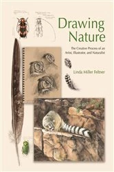 Book cover of Drawing Nature by Linda Miller Feltner