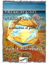 Book cover of Dream beaches Invisible Landscapes by Annie Hill Otness