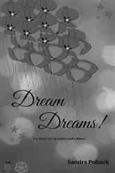 Book cover of Dream Dreams by Sandra Pollock