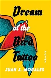 Book cover of Dream of the Bird Tattoo by Unknown