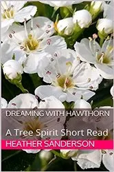 Book cover of Dreaming with Hawthorn by Heather Sanderson