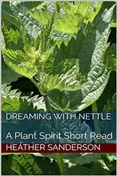 Book cover of Dreaming with Nettle by Heather Sanderson