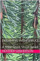 Book cover of Dreaming with Spruce by Heather Sanderson