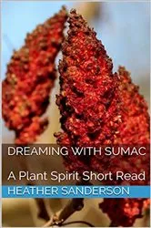Book cover of Dreaming with Sumac by Heather Sanderson