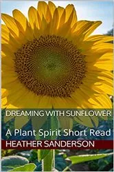 Book cover of Dreaming with Sunflower by Heather Sanderson