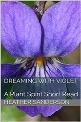 Book cover of Dreaming with Violet by Heather Sanderson
