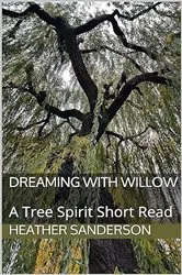 Book cover of Dreaming with Willow by Heather Sanderson