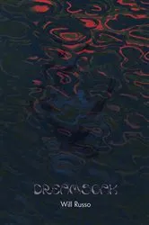 Book cover of Dreamsoak by Will Russo