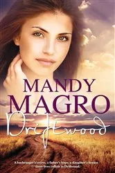 Book cover of Driftwood by Dalene Matthee
