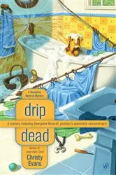 Book cover of Drip Dead by Christy Evans
