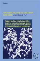 Book cover of Drug Efflux Pumps in Cancer Resistance Pathways: From Molecular Recognition and Characterization to Possible Inhibition Strategies in Chemotherapy by Alejandro Sosnik