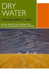 Book cover of Dry Water by Tammie Matson