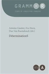 Book cover of DéterminationS by Dan Van Raemdonck