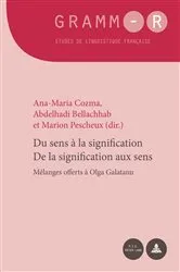 Book cover of Du sens à la signification / De la signification aux sens by Dan van Raemdonck