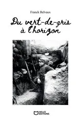 Book cover of Du vert-de-gris à l'horizon - Tome I by Franck BELVAUX