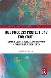 Book cover of Due Process Protections for Youth by Emily K. Pelletier