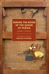 Book cover of During the Reign of the Queen of Persia by Joan Chase