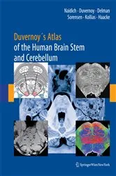 Book cover of Duvernoy's Atlas of the Human Brain Stem and Cerebellum by Thomas P. Naidich