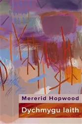 Book cover of Dychmygu Iaith by Mererid Hopwood