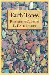 Book cover of Earth Tones by Dave Pruett