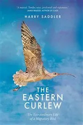 Book cover of Eastern Curlew by Harry Sadler