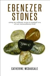 Book cover of Ebenezer Stones by Catherine McDaugale
