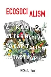 Book cover of Ecosocialism by Michael Löwy