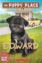 Book cover of Edward (The Puppy Place #49) by Ellen Miles