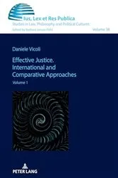 Book cover of Effective Justice. International and Comparative Approaches by Unknown