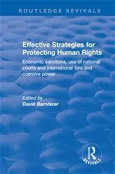 Book cover of Effective Strategies for Protecting Human Rights by David Barnhizer