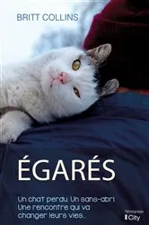 Book cover of Egarés by Britt Collins