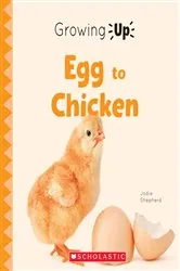Book cover of Egg to Chicken (Growing Up) by Jodie Shepherd