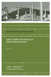 Book cover of Egypt: A Market for Natural Gas from Cyprus and Israel? by Nikos Tsafos