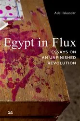 Book cover of Egypt in Flux by Adel Iskandar