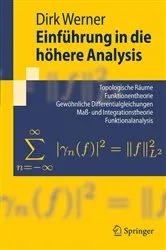 Book cover of Einführung in die höhere Analysis by Dirk Werner