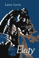 Book cover of Elegy by Jane Abbott