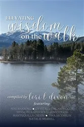 Book cover of Elevating Wisdom On the Walk by Lori L. Dixon