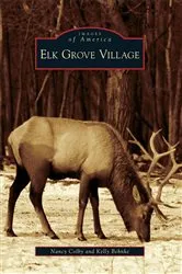 Book cover of Elk Grove Village by Nancy Colby