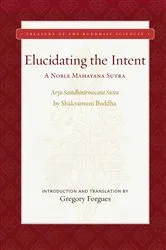 Book cover of Elucidating the Intent by Gregory Forgues