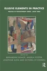 Book cover of Elusive Elements in Practice by Bernardine Bishop