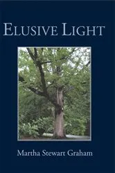 Book cover of Elusive Light by Martha Stewart Graham
