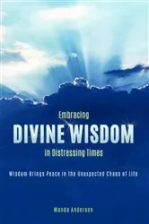 Book cover of Embracing Divine Wisdom in Distressing Times by Wanda E Anderson
