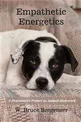 Book cover of Empathetic Energetics by W. Bruce Bregenzer
